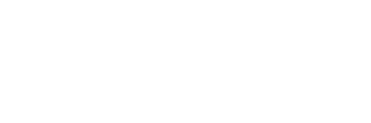 Logo Laneko SA